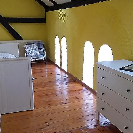 Dom Goscinny Zardeniki Legno